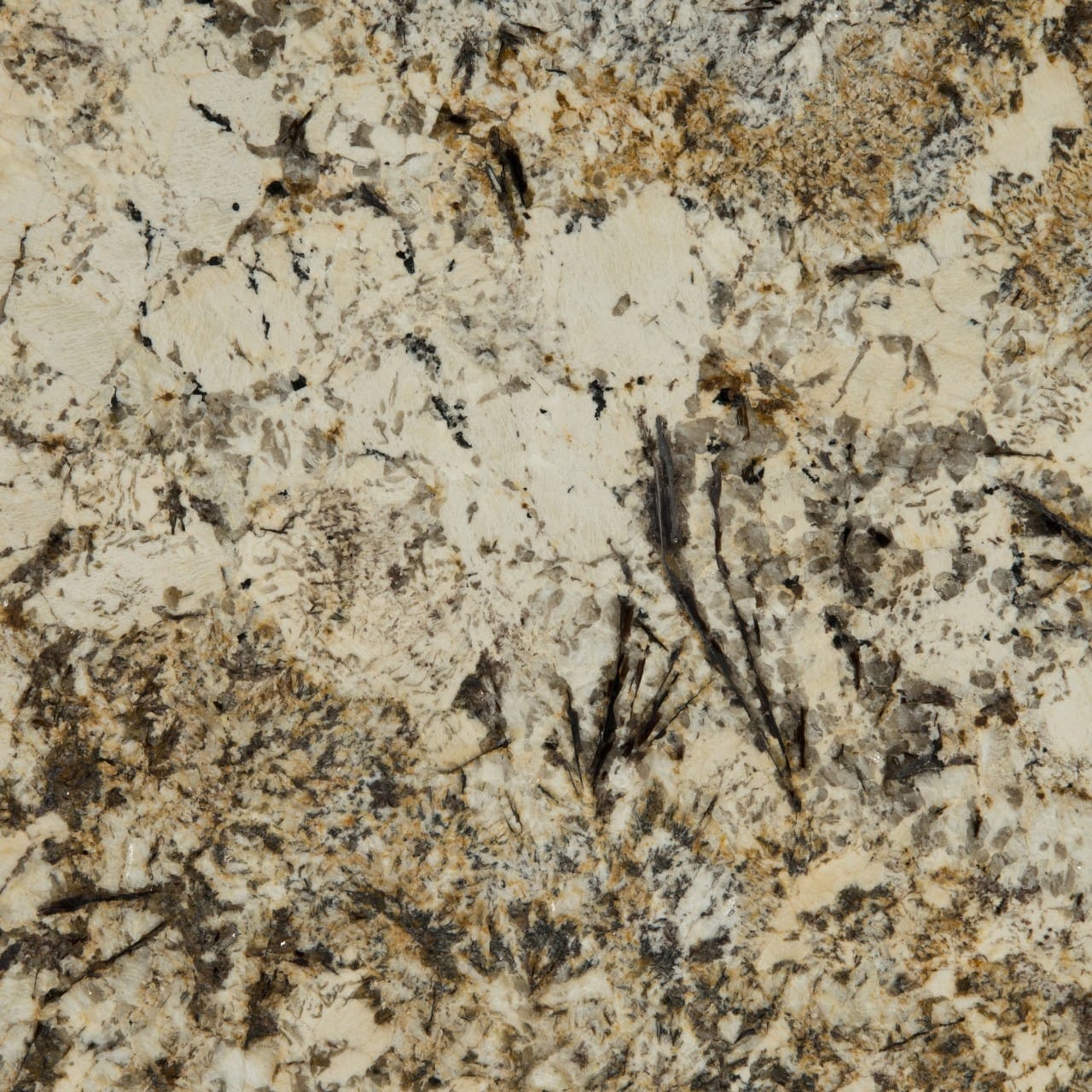 Gold Tile And Stone Surface Inspiration